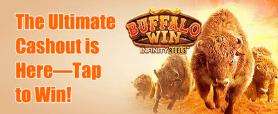 100% Welcome Match Bonus promotion